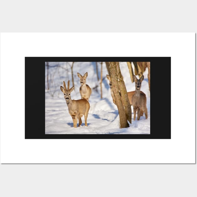 Roe deer in the forest Wall Art by naturalis